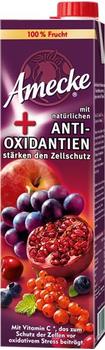 Amecke Plus Antioxidantien 1L