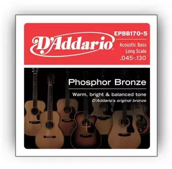 D'Addario EPBB170-5 5-String Acoustic Bass Phosphor Bronze, Long Scale 45-130