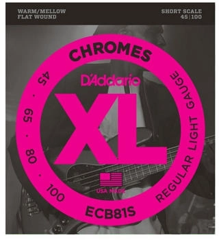 D'Addario ECB81S