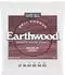 ERNIE BALL Medium Light Earthwood Bell Bronze Akustikgitarren Saiten 12-54