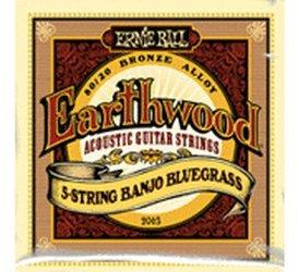 ERNIE BALL Earthwood 5-string Banjo Bluegrass 80/20 Bronze Loop End gauges 9,11,13,20w,9