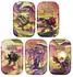 Pokémon Mini-Tin-Box Karmesin & Purpur Nebel der Sagen sortiert (DE)