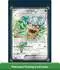 Pokémon Ogerpon-Ex Premium Kollektion (DE)