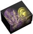 Ultimate Guard Sidewinder 100+ Magic: The Gathering Duskmourn: House of Horror Niko Light of Hope