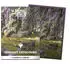Dragon Shield Matte Dual Art Sleeves 100 Landfall Series Verdant Catacomb
