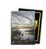Dragon Shield Matte Dual Art Sleeves 100 Landfall Series Misty Rainforest