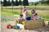 Wendi Toys Sandkasten mit Holzabdeckung und Sitzflächen natur (WE-105)