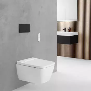 Geberit Fernbedienung f&uuml;r AquaClean Sela ab Baujahr 2024 (245820011)