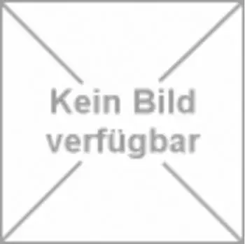Schell Count Clean-Fix S Flexschlauch 300mm G 3/8 IG verchromt (102190630)