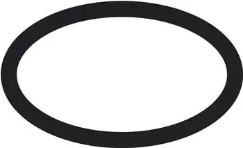 Hansgrohe Ersatz-O-Ring 17 x 1,5 schwarz (98137000)