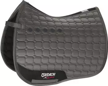 Eskadron Schabracke Glossy Compact anthrazit DR