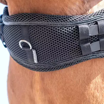 Busse Sattelgurt 3D Air Effect Dressur D Kurzgurt Schwarz kavalio für mich und mein Pferd