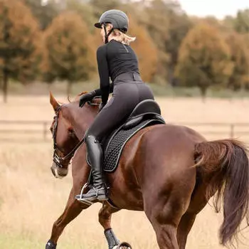 Waldhausen Schabracke Felix Glam Saddle Pad Schwarz PON