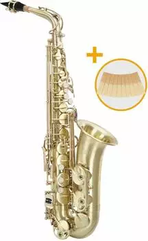Classic Cantabile AS-450 Brushed Eb Altsaxophon Set