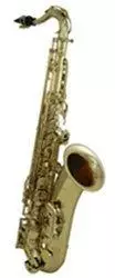 Roy Benson TS-202