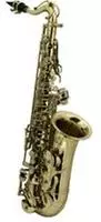 ROY BENSON RB700590, ROY BENSON AS-201 - Eb-Alt Kinder Saxophon
