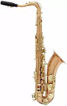 Dimavery SP-50