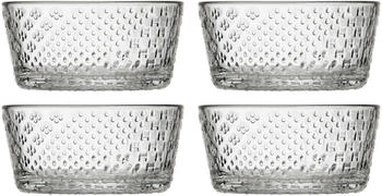 iittala Tundra Schale 25 cl 4er Pack Klar