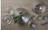Leonardo Cucina Dessertschalen 190 ml 10cm 6-er Set 066325
