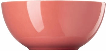 Thomas (Rosenthal) Thomas Sunny Day Soft Red Sch&uuml;ssel 18cm