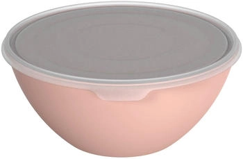 Thomas Rosenthal Schale „Daily“ – Porzellan, Ø 28 Cm, Spülmaschinen- Und Mikrowellengeeignet