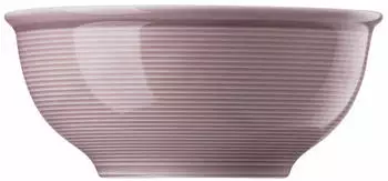 Rosenthal Thomas Trend Colour Lavender Lilac M&uuml;slischale 16cm