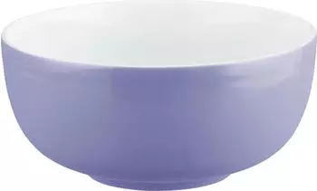 Seltmann Weiden Liberty pure colors M&uuml;slischale 15cm grape purple (001.777568)
