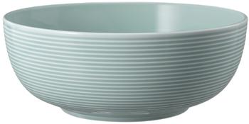 Seltmann Weiden Beat Foodbowl uni (20 cm) Color Glaze Arktisblau