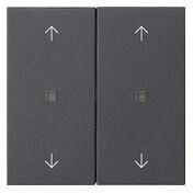 Gira Wippe 2fach mit Pfeilsymbolen und Kontrollfenster System 55 Anthrazit (538628)