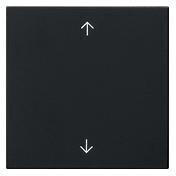 Gira Wippe 1fach mit Pfeilsymbolen System 55 Schwarz matt (5389005)