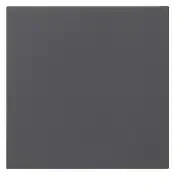 Gira Wippe 1fach unbedruckt System 55 Anthrazit (537228)