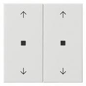 Gira Wippe 2fach mit Pfeilsymbolen und Kontrollfenster System 55 Reinwei&szlig; gl&auml;nzend (538603)