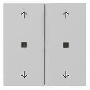 Gira Wippe 2fach mit Pfeilsymbolen und Kontrollfenster System 55 Grau matt (5386015)