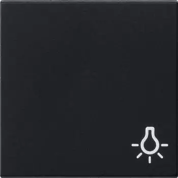 Gira "0285005 Wippe mit Symbol \"Licht\""