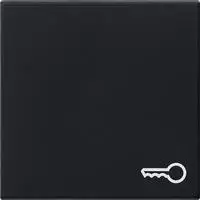 Gira Wippe sw 0287005