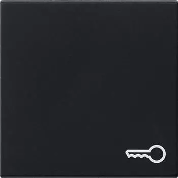 Gira "0287005 Wippe mit Symbol \"T&uuml;r\""