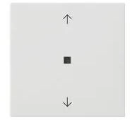 Gira Wippe 1fach mit Pfeilsymbolen und Kontrollfenster System 55 Reinwei&szlig; seidenmatt (538827)