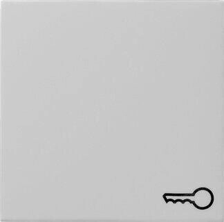 Gira 0287015 Wippe mit Symbol Schl&uuml;ssel