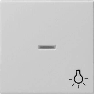 Gira 0674015 Wippe mit Kontrollfenster + Symbol Licht