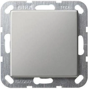 Gira BlindAbdeckung Tragring System 55 Edelstahl (268600)