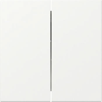 Gira Wippe 2f gerade System 55 Reinwei&szlig; matt (349527)