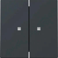 Gira 363128 Wippe 2f Kontrollf. System 55 Anthrazit