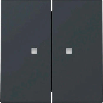 Gira Wippe 2f Kontrollfenster System 55 Anthrazit (363128)