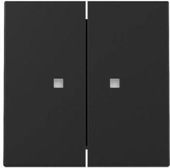 Gira Wippe 2f Kontrollfenster System 55 Schwarz matt (3631005)