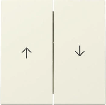 Gira Wippe 2f Pfeil System 55 Cremewei&szlig; (329401)