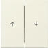 Gira Wippe 2fach mit Pfeilsymbol 3294