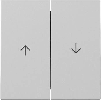 Gira Wippe 2f Pfeil System 55 Grau matt (3294015)