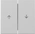 Gira Wippe 2fach mit Pfeilsymbol 3294