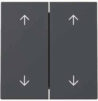 Gira Wippe 2f Pfeile System 55 Anthrazit (329728)