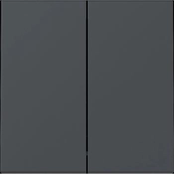 Gira Wippe 2f System 55 Anthrazit (329528)